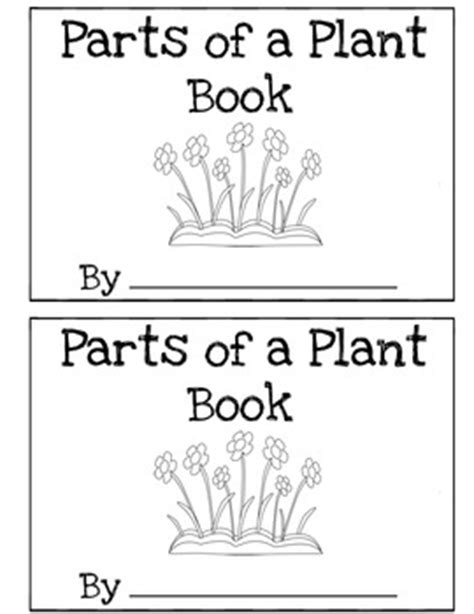 Plant Books For First Grade   Stream Ebook The Little Book Of Plants Introduction - Plant Books For First Grade