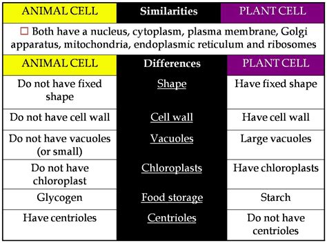 Plant Cell Animal Cell Similarities Characteristic Rocketlit Cells 5th Grade - Cells 5th Grade