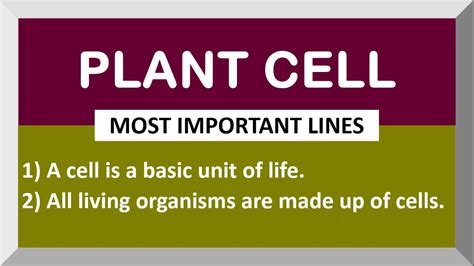 Plant Cell Essay The Quay House Plant Cell Parts 5th Grade - Plant Cell Parts 5th Grade