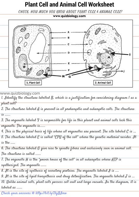 Plant Cells Vs Animal Cells Worksheet   Biology Eoc Science Review Animal Vs Plant Cells - Plant Cells Vs Animal Cells Worksheet