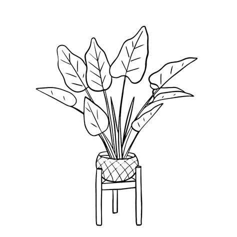Plant Coloring Pages Free Amp Printable Printable Plant Coloring Pages - Printable Plant Coloring Pages