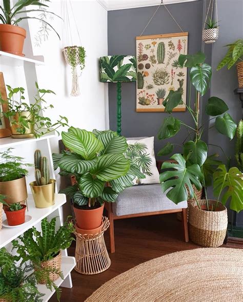 Plant For Home Interior Design Freshouz Home Amp Home Interior Design With Plants - Home Interior Design With Plants