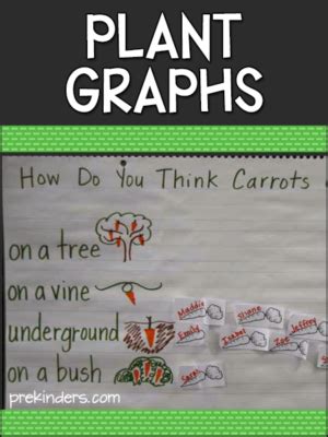 Plant Graph Ideas For Preschool Pre K Prekinders Graphing Ideas For Preschoolers - Graphing Ideas For Preschoolers