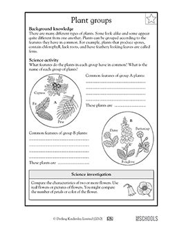 Plant Groups 3rd Grade 4th Grade Science Worksheet Plant Worksheet 4th Grade - Plant Worksheet 4th Grade