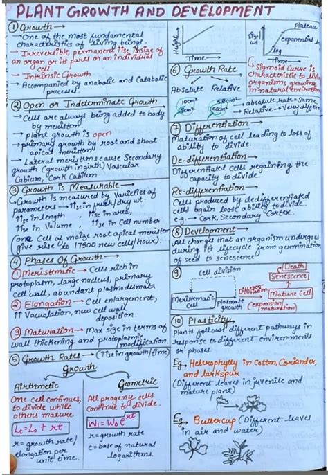 Plant Growth And Development Notes