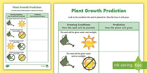 Plant Growth Prediction Worksheet How Plants Grow Twinkl Plant Growth Worksheet - Plant Growth Worksheet