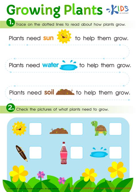 Plant Growth Worksheet   Plant Growth And Development Scholastic - Plant Growth Worksheet