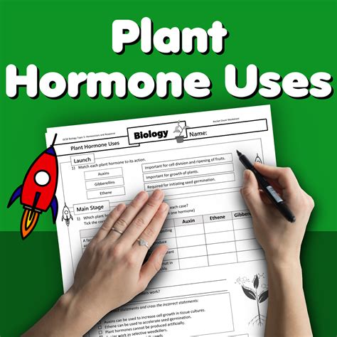 Plant Hormones Activity Live Worksheets Plant Hormones Worksheet - Plant Hormones Worksheet