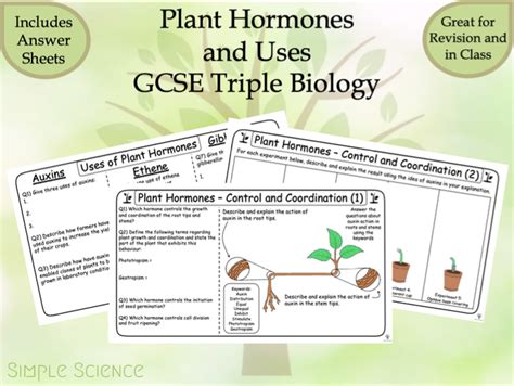 Plant Hormones And Uses Triple Gcse Biology Worksheets Plant Hormones Worksheet - Plant Hormones Worksheet