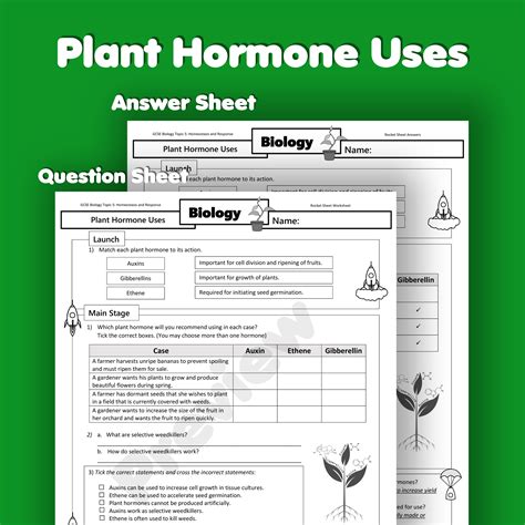 Plant Hormones Slides And Worksheet Gcse Biology Aqa Plant Hormones Worksheet - Plant Hormones Worksheet