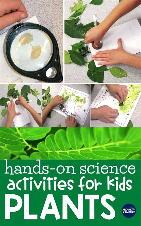 Plant Life Cycle Activities Fun Hands On Science Plant Life Cycle Crafts - Plant Life Cycle Crafts