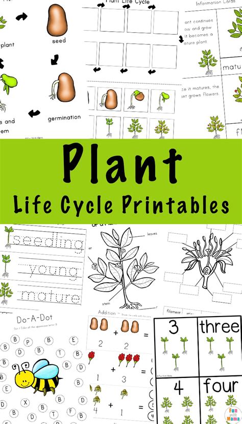 Plant Life Cycle Learning Pack Fun With Mama Plant Life Cycle Crafts - Plant Life Cycle Crafts