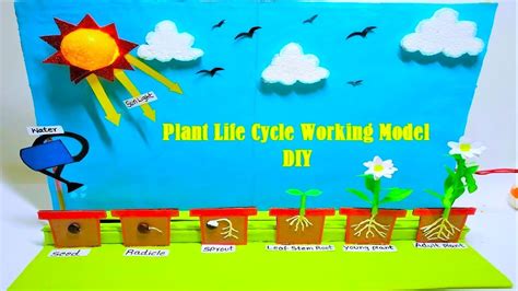 Plant Life Cycle Project Ideas For Elementary Teachers Plant Life Cycle Crafts - Plant Life Cycle Crafts