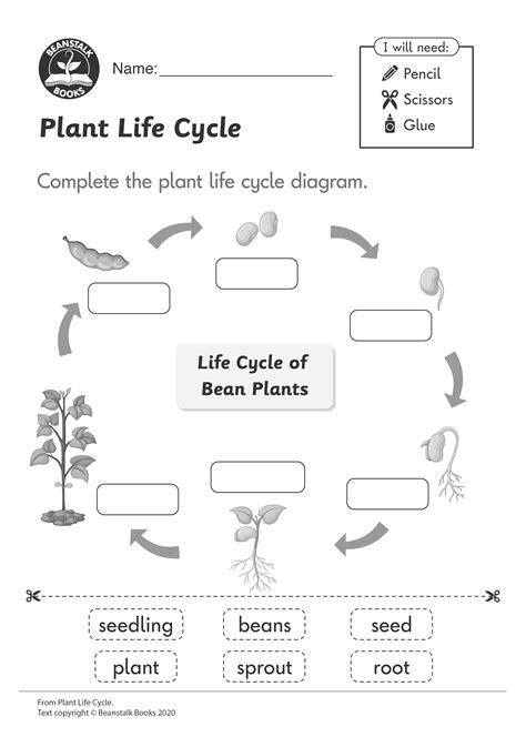 Plant Life Cycle Worksheet K5 Learning Plant Cycle Worksheet - Plant Cycle Worksheet