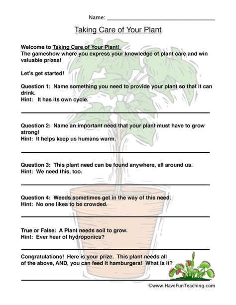 Plant Needs 2nd Grade Teaching Resources Tpt Plant Needs Worksheet Second Grade - Plant Needs Worksheet Second Grade