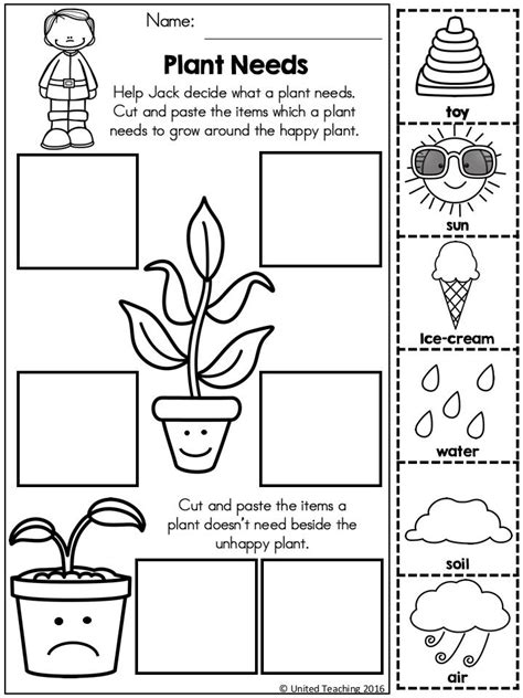 Plant Needs Activity For K 2nd Grade Teacher Plant Needs Worksheet Second Grade - Plant Needs Worksheet Second Grade