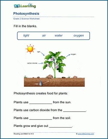 Plant Needs Worksheet Second Grade   Plant Needs 2nd Grade Teaching Resources Tpt - Plant Needs Worksheet Second Grade