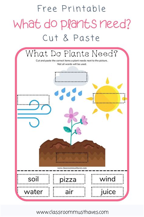Plant Needs Worksheets Teacher Made Twinkl Plant Needs Worksheet Second Grade - Plant Needs Worksheet Second Grade