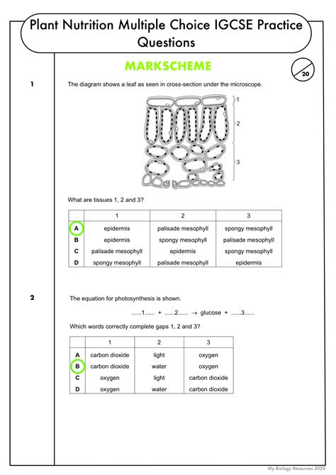 Plant Nutrition Cie Igcse Biology Questions Amp Answers Plant Questions And Answers - Plant Questions And Answers