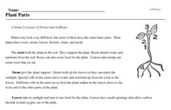 Plant Parts Reading Comprehension Worksheet Edhelper Plant Parts Worksheet 2nd Grade - Plant Parts Worksheet 2nd Grade