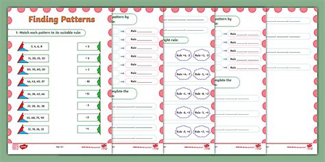 Plant Patterns Finding Patterns