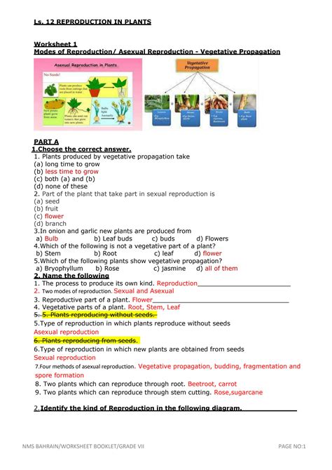 plant reproduction answer key