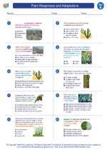 Plant Responses And Adaptations 5th Grade Science Worksheets Plant Responses Worksheet - Plant Responses Worksheet