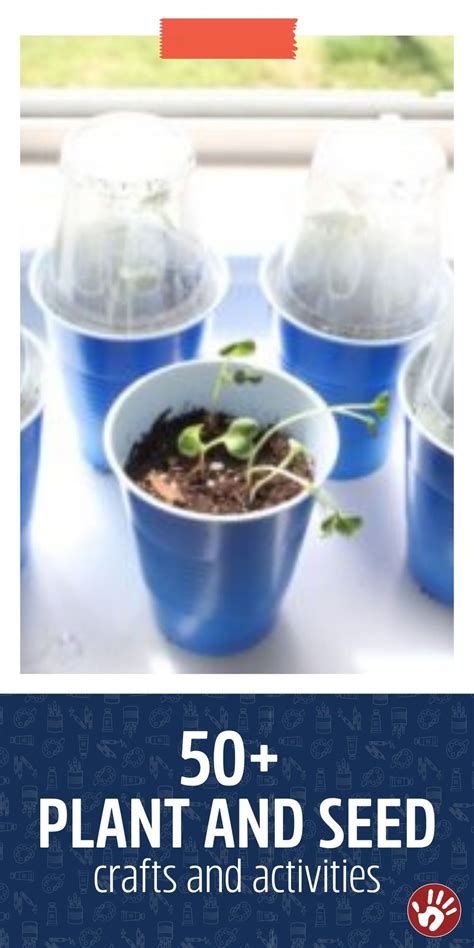 Plant Science Activities   50 Prized Plant Activities With Simple Seed Crafts - Plant Science Activities