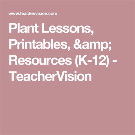 Plant Themed Lessons Printables Amp Resources For Teachers Plant Tropisms Worksheet - Plant Tropisms Worksheet