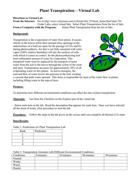 Plant Transpiration Virtual Lab Answer Key
