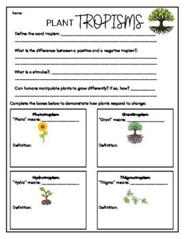 Plant Tropisms Worksheet   Community Wow Stem - Plant Tropisms Worksheet