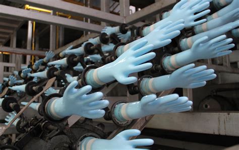 Plant Utilisation Of Rubber Glove Makers Improve The Rubber Science - Rubber Science