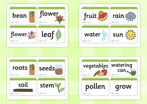 Plant Vocabulary Teacher Made Twinkl Plant Vocabulary Worksheet - Plant Vocabulary Worksheet