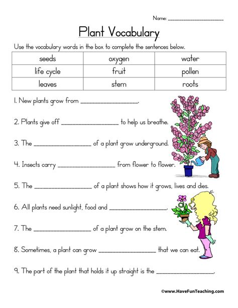 Plant Vocabulary Worksheet By Teach Simple Plant Vocabulary Worksheet - Plant Vocabulary Worksheet