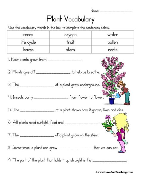Plant Vocabulary Worksheet   Common Words About Plants In English - Plant Vocabulary Worksheet