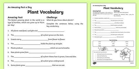 Plant Vocabulary Worksheet Ks2 Resources Twinkl Plant Vocabulary Worksheet - Plant Vocabulary Worksheet