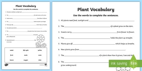 Plant Vocabulary Worksheet Teacher Made Twinkl Plant Vocabulary Worksheet - Plant Vocabulary Worksheet