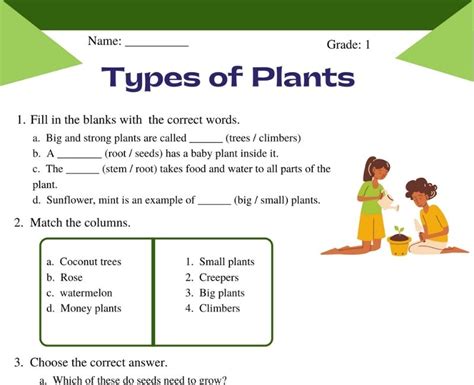 Plant Worksheets 8211 Theworksheets Com 8211 Plant Worksheets For 1st Grade - Plant Worksheets For 1st Grade