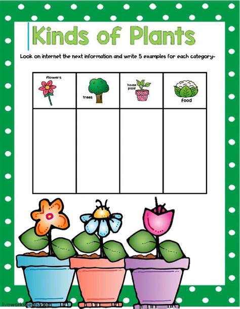 Plant Worksheets For Kindergarten Kindergarten Plant Worksheets - Kindergarten Plant Worksheets