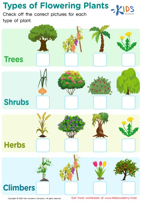 Plant Worksheets For Kindergarten Types Of Plants Plant Kindergarten Planting - Kindergarten Planting