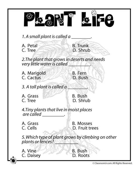 Plant Worksheets Plant Worksheet 4th Grade - Plant Worksheet 4th Grade