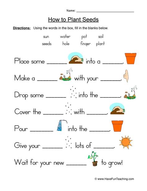 Plant Worksheets Plant Worksheets For 2nd Grade - Plant Worksheets For 2nd Grade