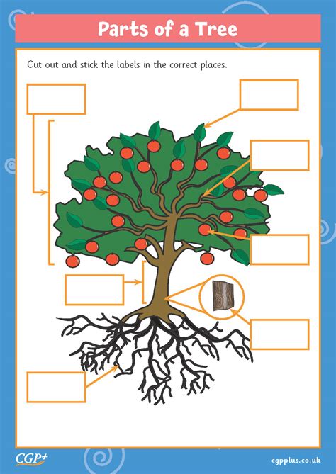 plant-a-tree - Practice Test Geeks