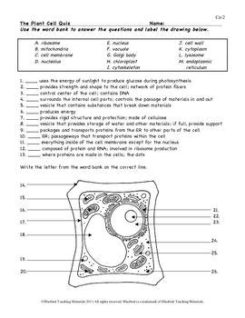 Download Plant Cell Questions And Answers 