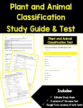 Download Plant Classification Test Study Guide 