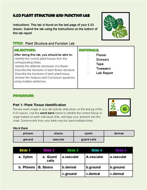 Full Download Plant Structure Unit Exam Aventa Answers 