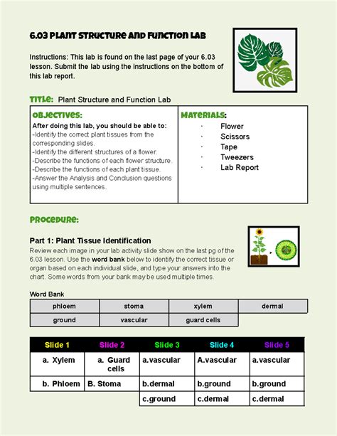 Read Plant Structure Unit Exam Aventa Answers 