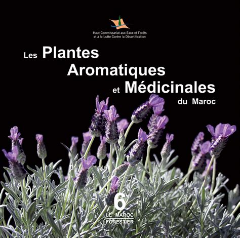 plante medicinale maroc pdf