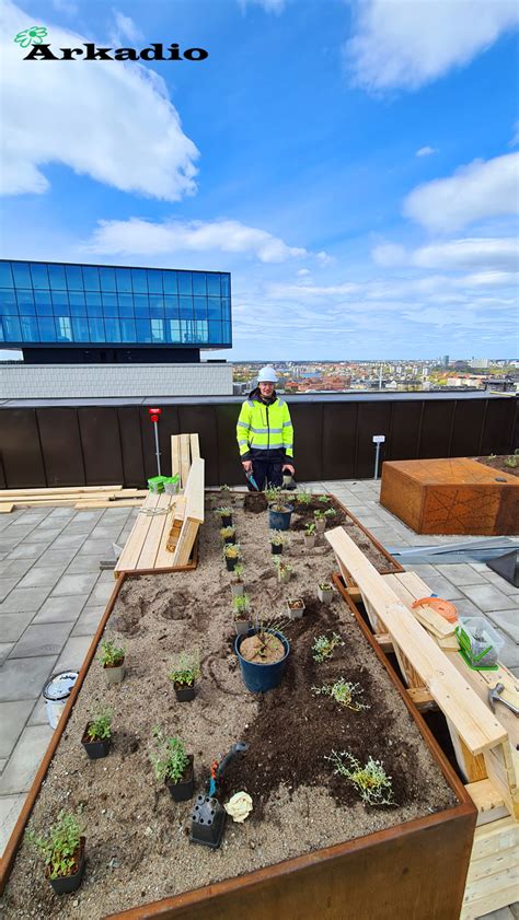 plantering av ek