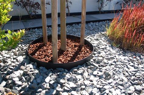 plantering runt träd